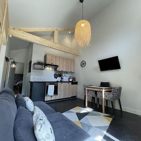 Ginkobiloba : Appartement Cosy En Coeur De Ville Bagneres-de-Bigorre Ngoại thất bức ảnh