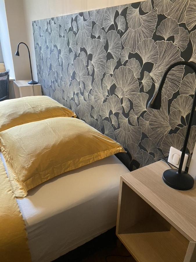 Ginkobiloba : Appartement Cosy En Coeur De Ville Bagneres-de-Bigorre Ngoại thất bức ảnh