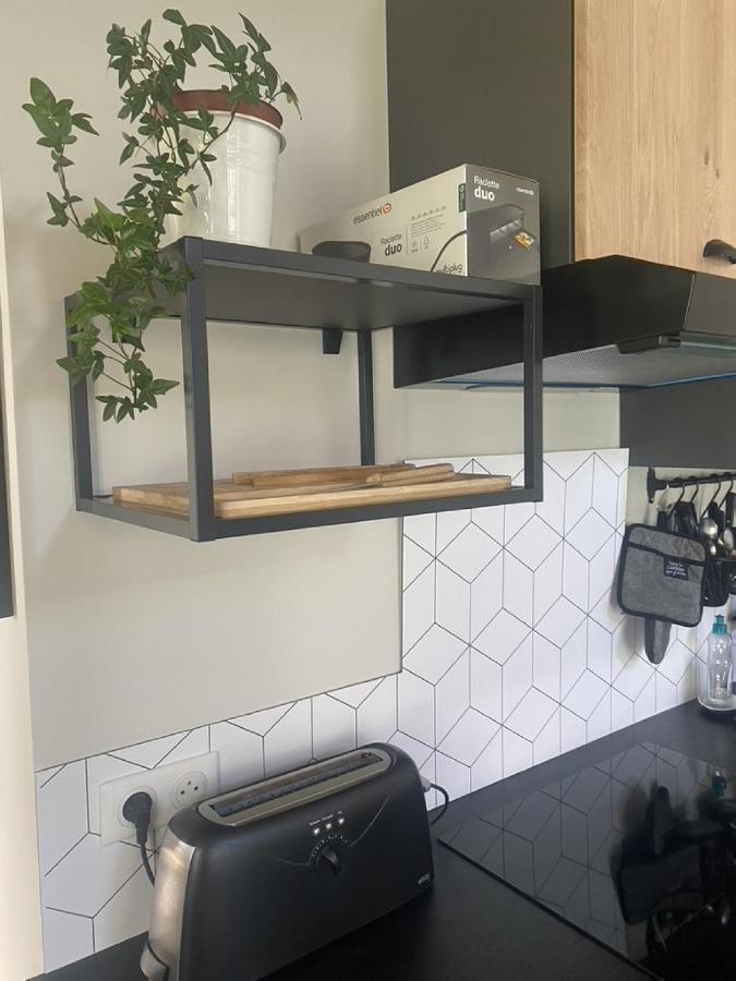 Ginkobiloba : Appartement Cosy En Coeur De Ville Bagneres-de-Bigorre Ngoại thất bức ảnh